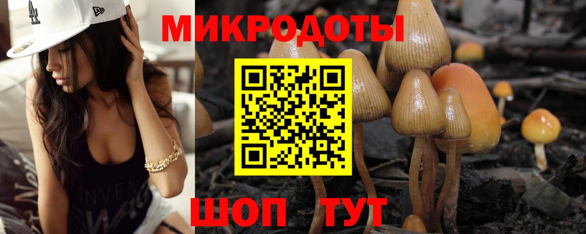 Псилоцибиновые грибы прущие грибы Октябрьский
